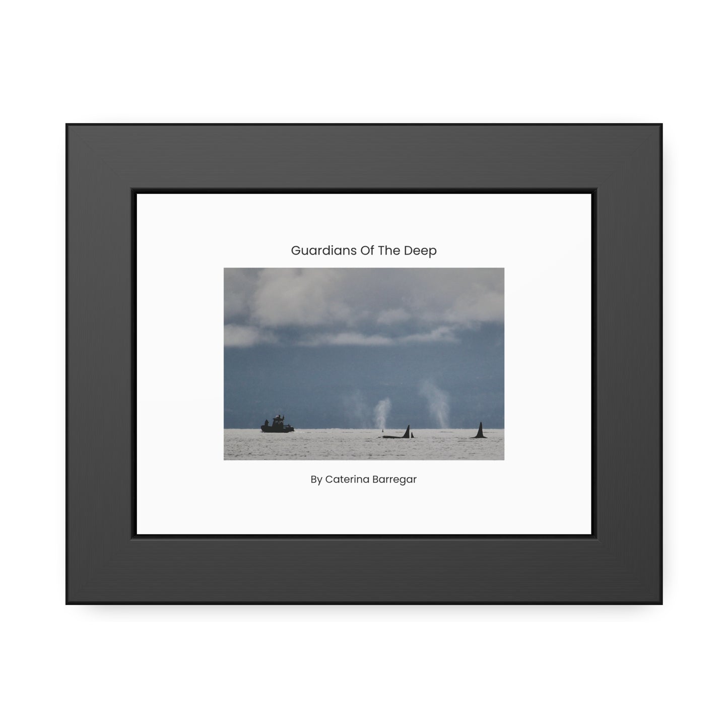 Framed fine art print of orcas surfacing on the Salish Sea, titled Guardians of the Deep by Caterina Barregar.