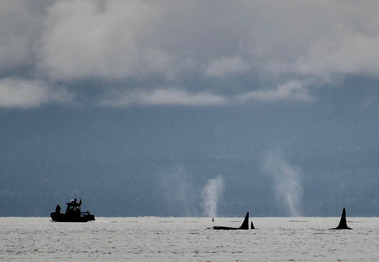 Welcome To The Heart Of Canada