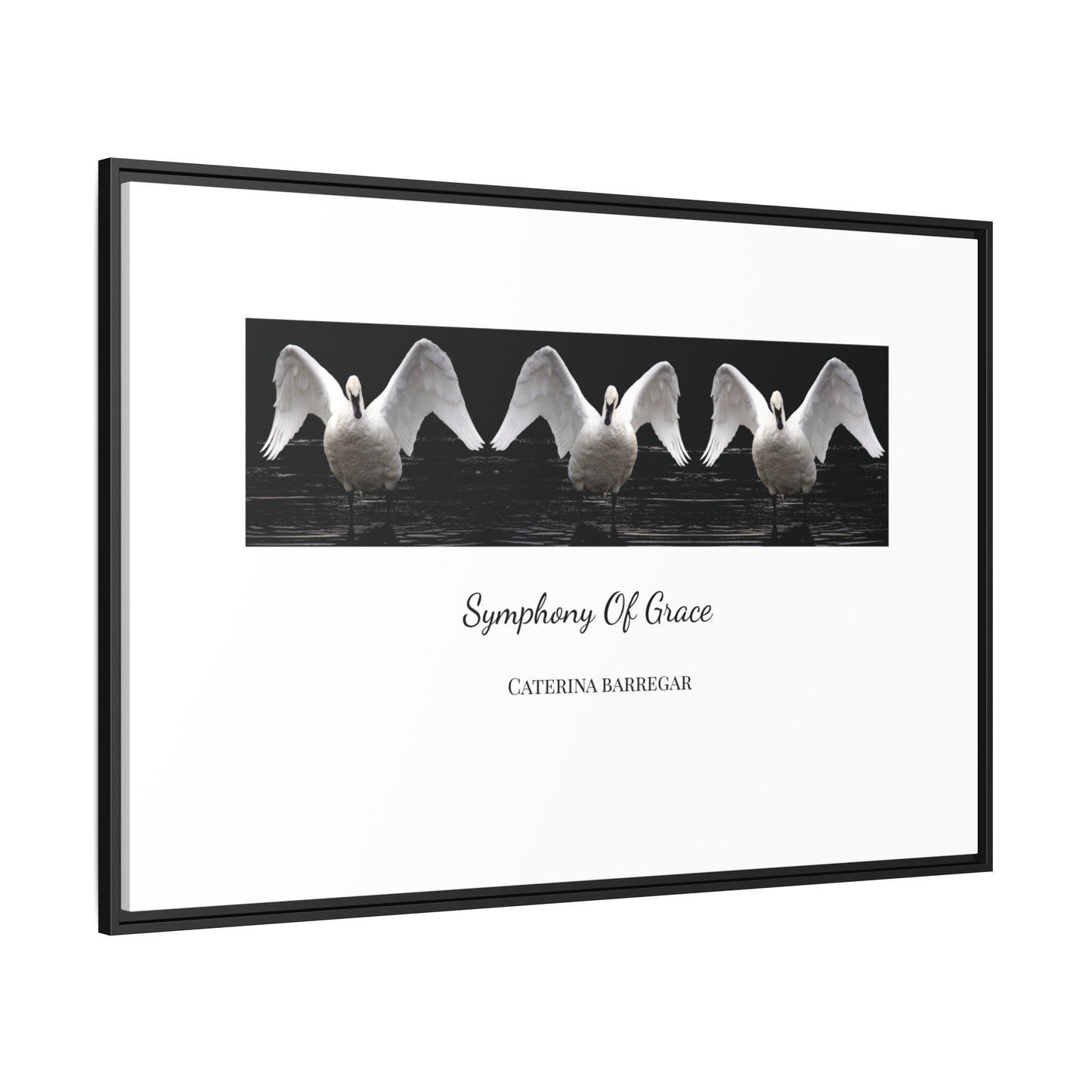 Symphony of Grace – Fine Art Framed Canvas by Caterina Barregar