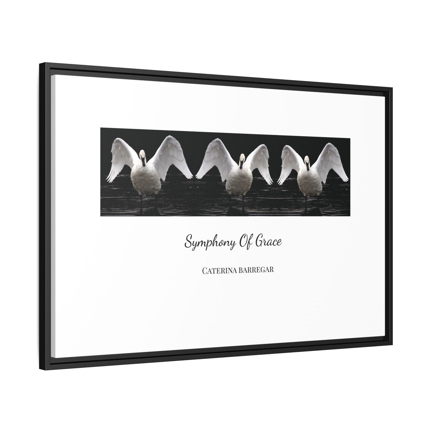 Symphony of Grace – Fine Art Framed Canvas by Caterina Barregar