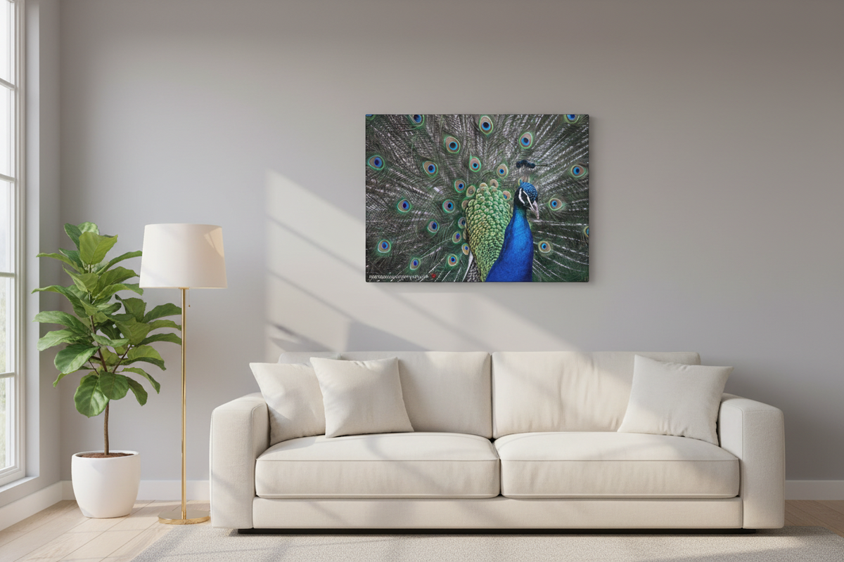 Make Love Your Compass A vibrant peacock feather artwork on a matte stretched canvas featuring deep jewel-toned blues and iridescent greens on a white background over a cream coloured couch. 