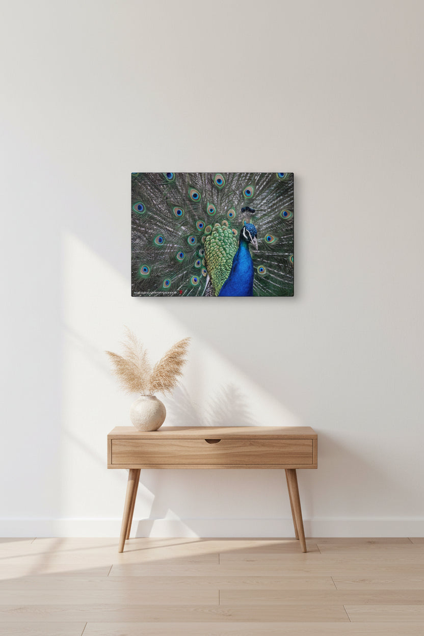 Make Love Your Compass A vibrant peacock feather artwork on a matte stretched canvas featuring deep jewel-toned blues and iridescent greens over an end table with dried florals. 