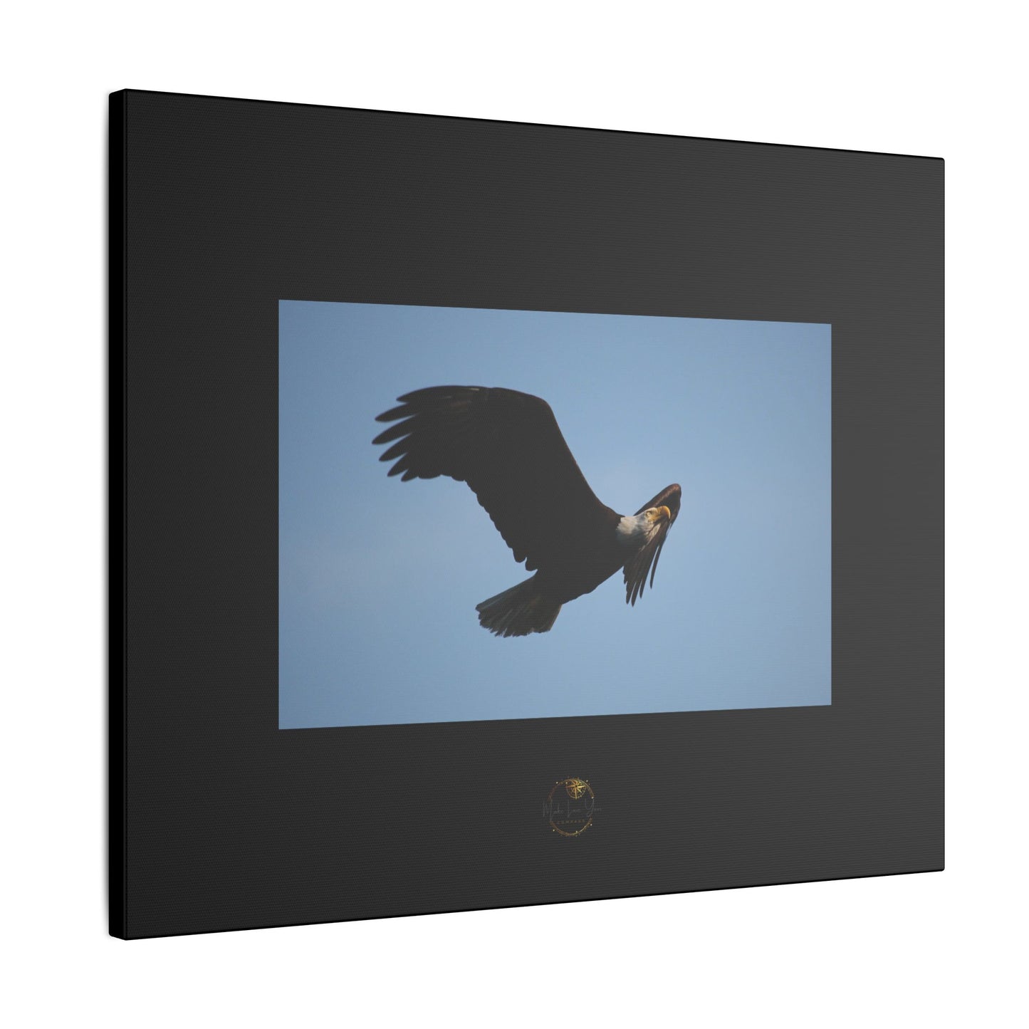 Soaring Strength – Bald Eagle Fine Art Print | Inspired by Nature Collection