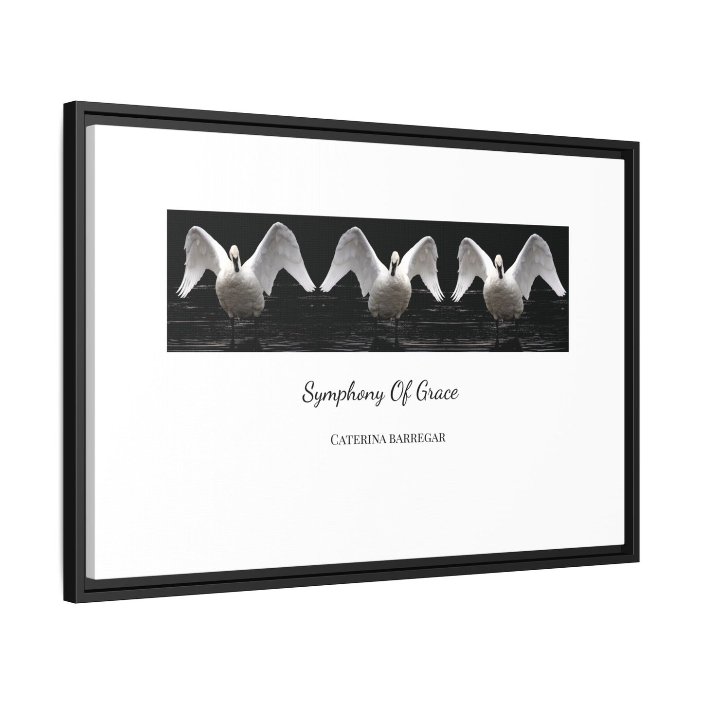 Symphony of Grace – Fine Art Framed Canvas by Caterina Barregar