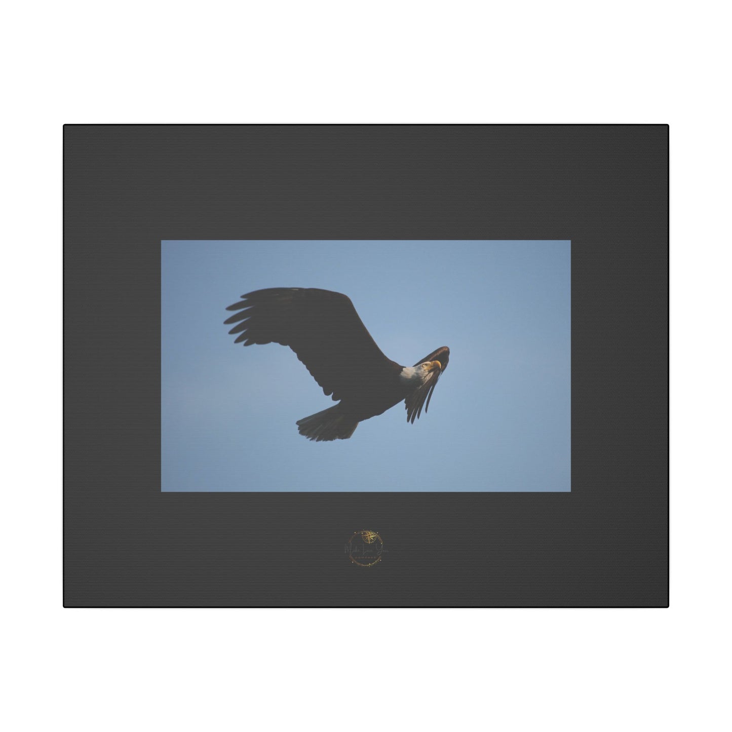Soaring Strength – Bald Eagle Fine Art Print | Inspired by Nature Collection