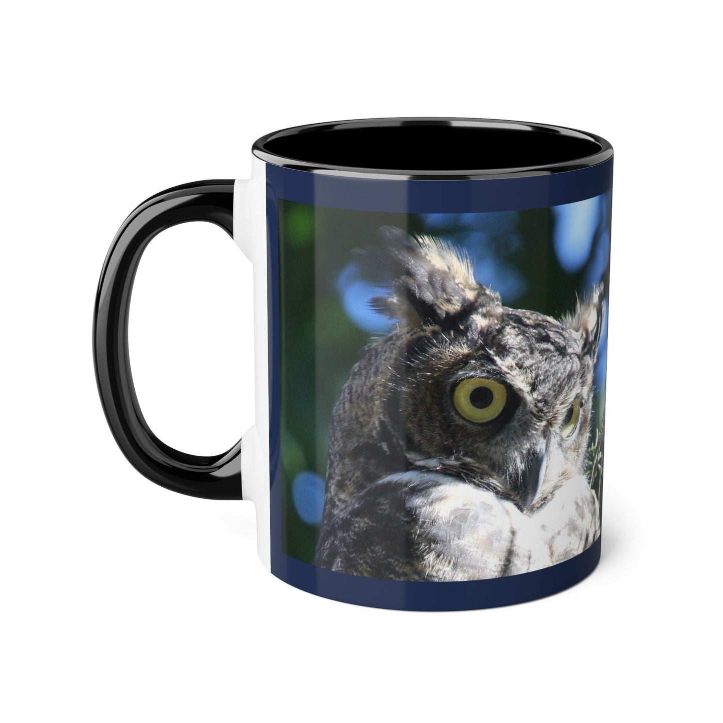 Make Love Your Compass | Mirrored Great Horned Owl & Maple Leaf Mug - 11oz