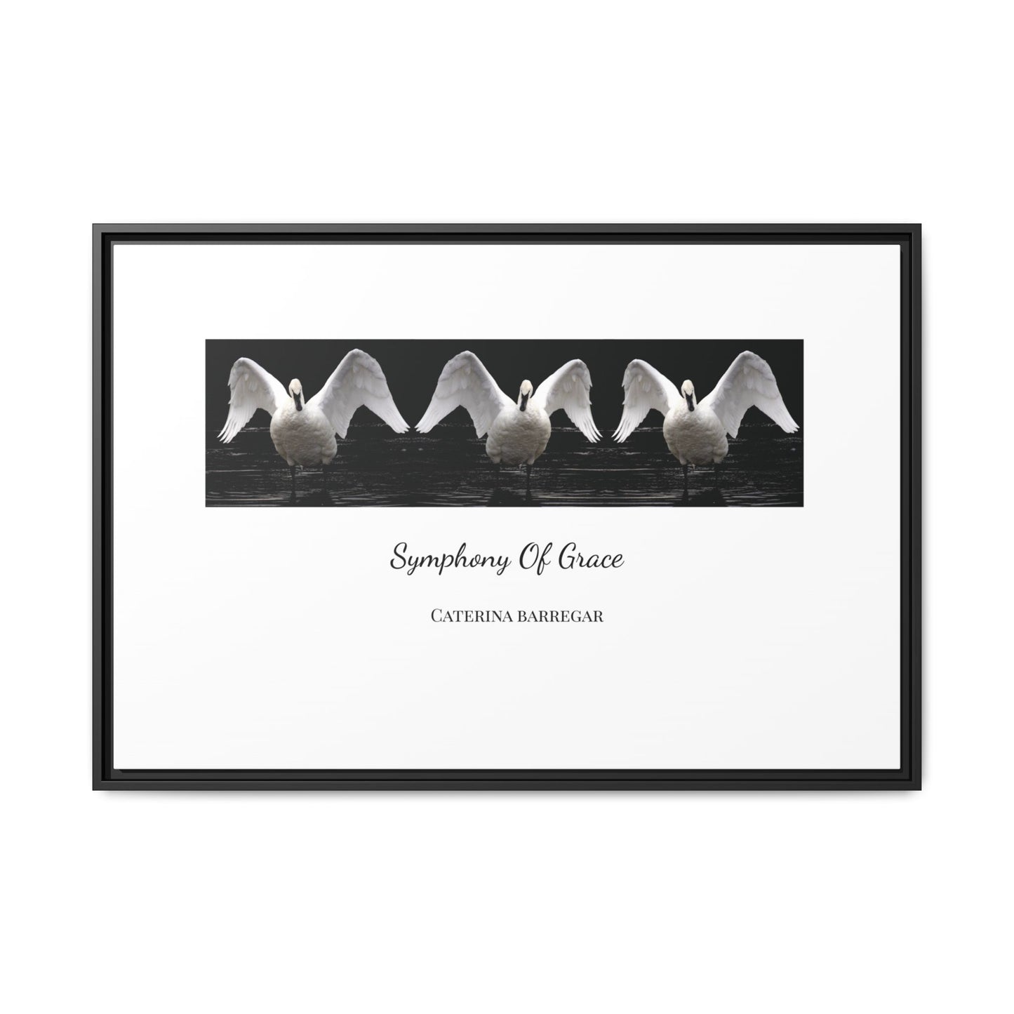 Symphony of Grace – Fine Art Framed Canvas by Caterina Barregar