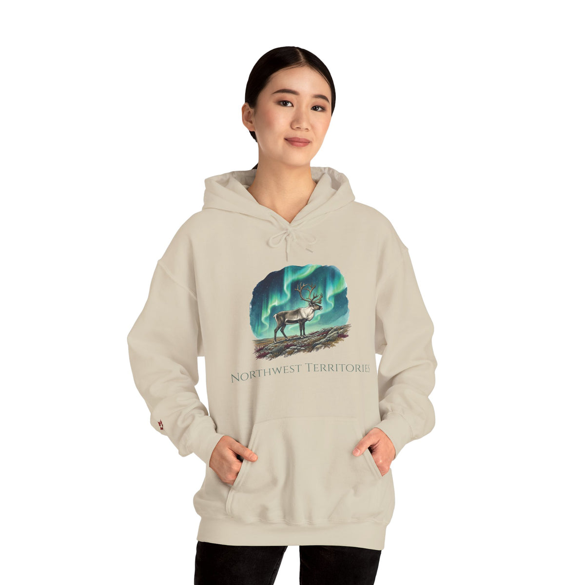 Northwest Territories Aurora Caribou Premium Hoodie