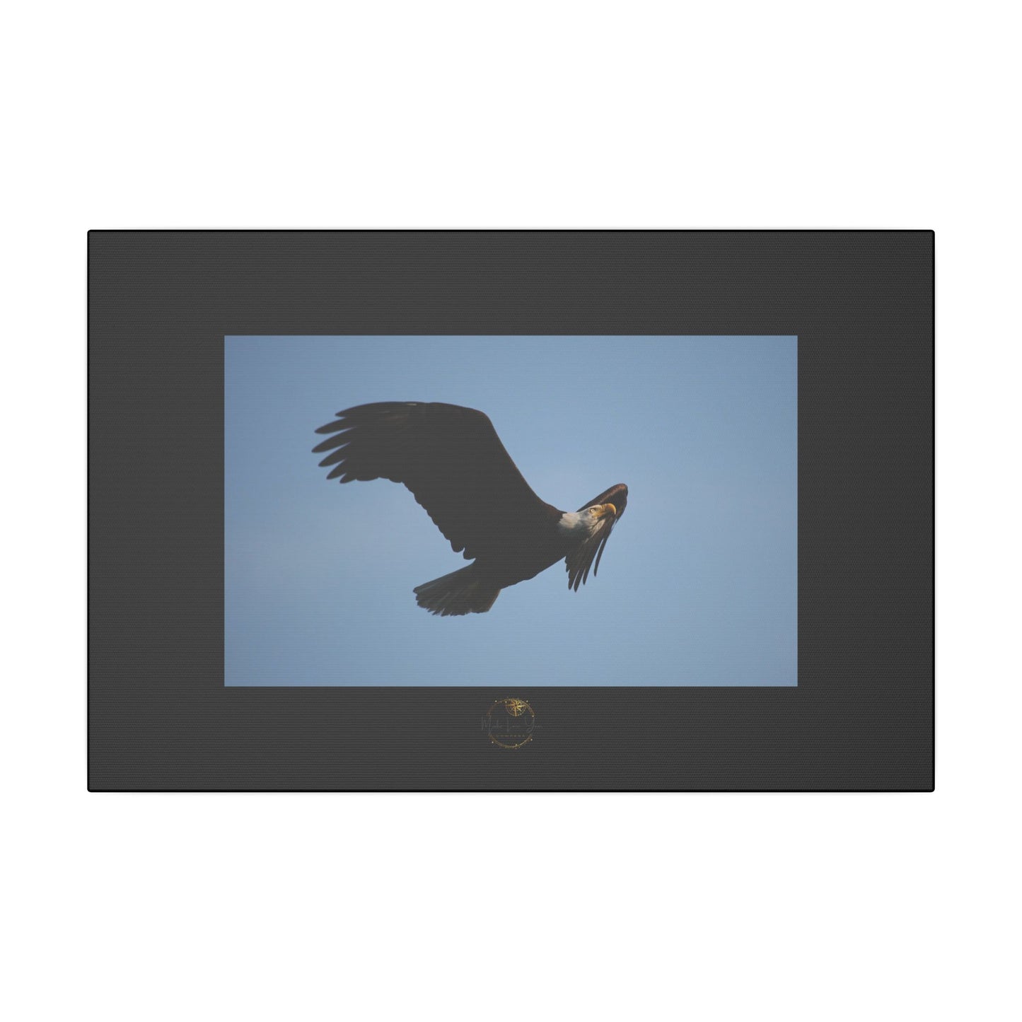 Soaring Strength – Bald Eagle Fine Art Print | Inspired by Nature Collection