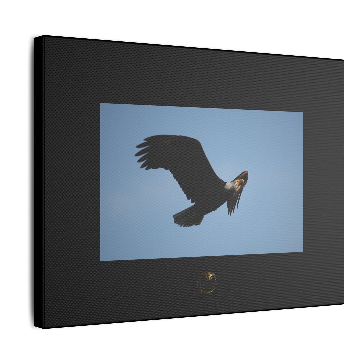 Soaring Strength – Bald Eagle Fine Art Print | Inspired by Nature Collection