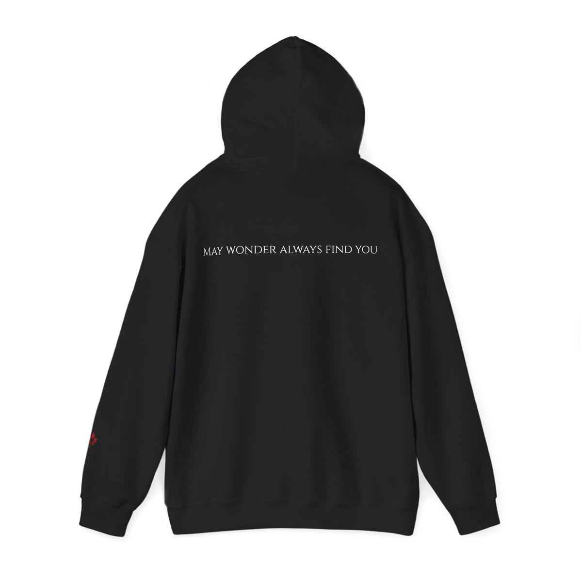 Stardust Journey Mountain Aurora Heavyweight Hoodie