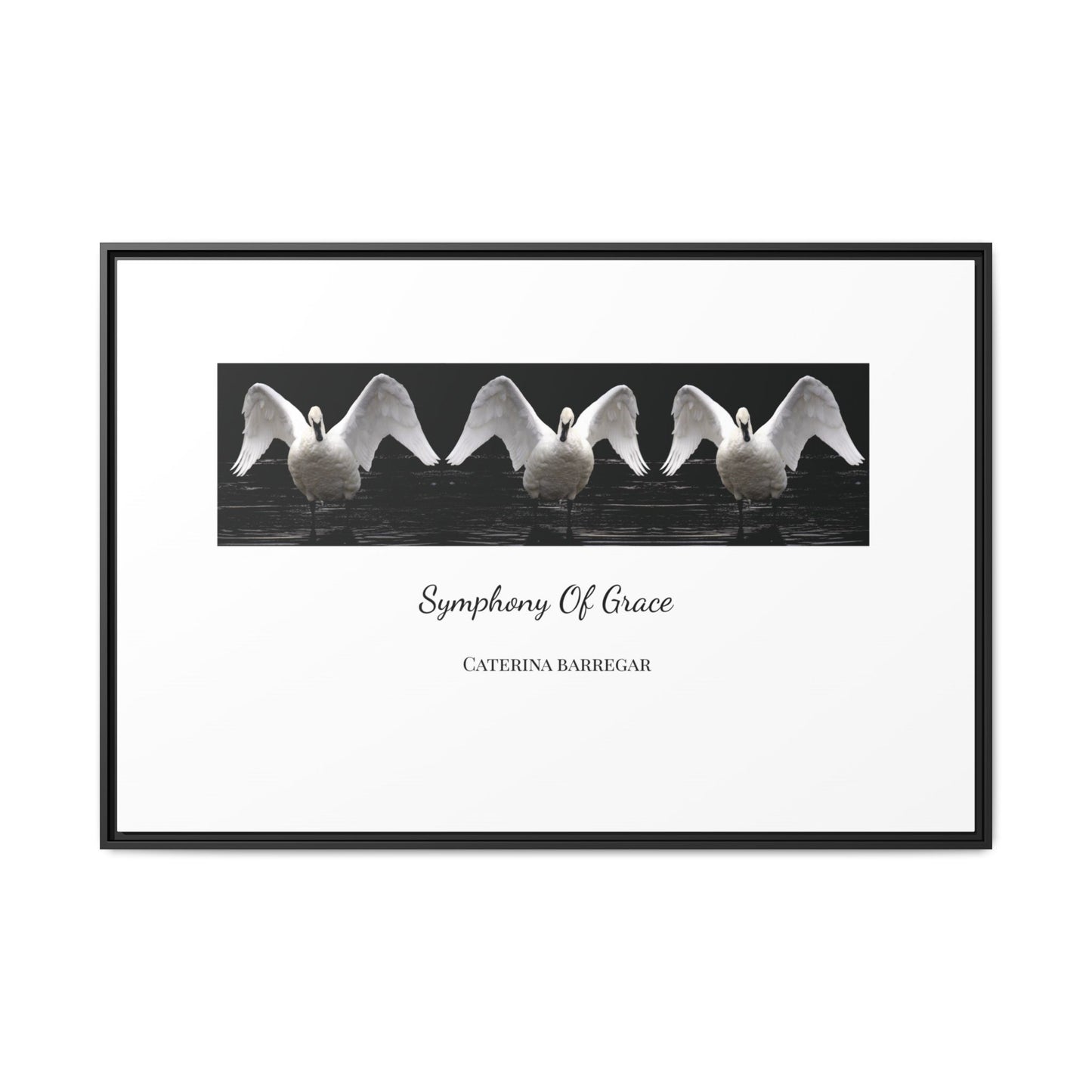 Symphony of Grace – Fine Art Framed Canvas by Caterina Barregar