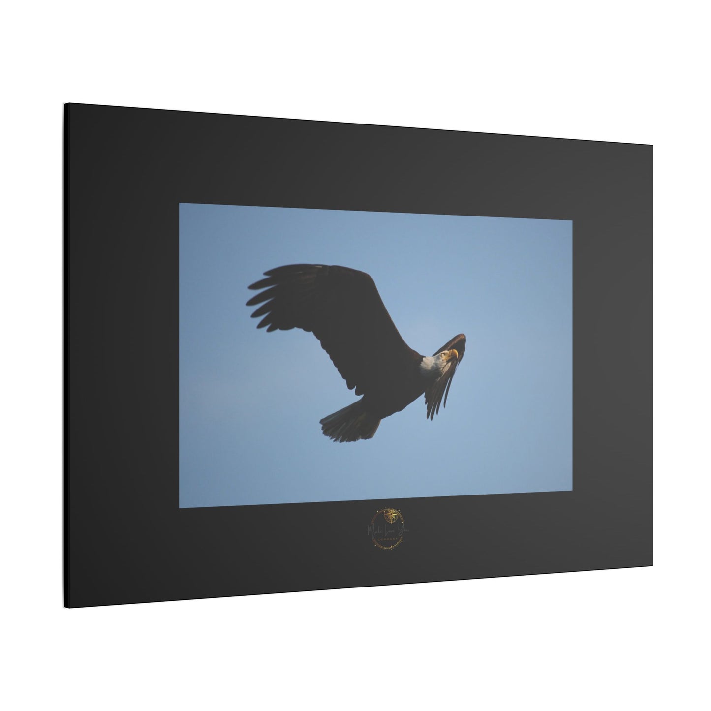 Soaring Strength – Bald Eagle Fine Art Print | Inspired by Nature Collection