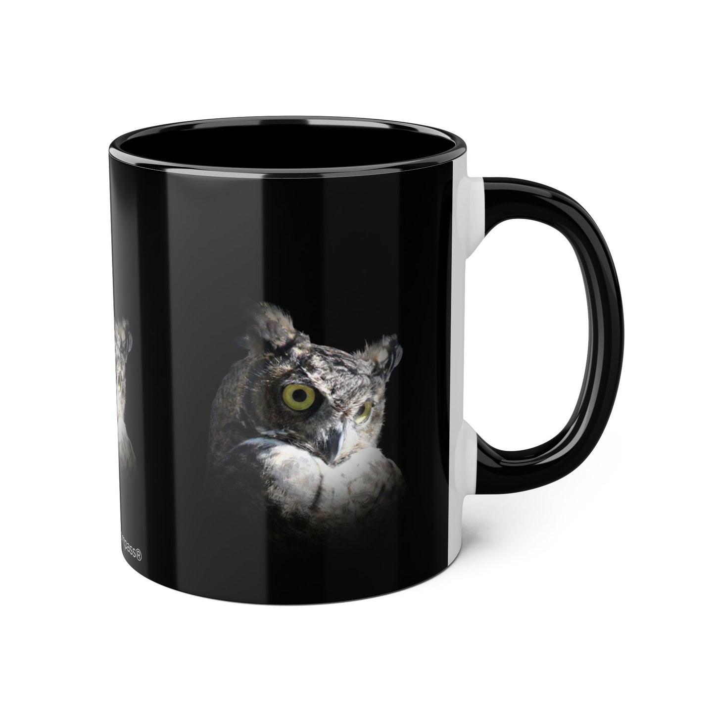 Make Love Your Compass | Great Horned Owl Accent Mug - 11oz