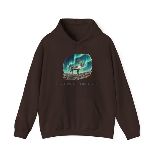 Northwest Territories Aurora Caribou Premium Hoodie