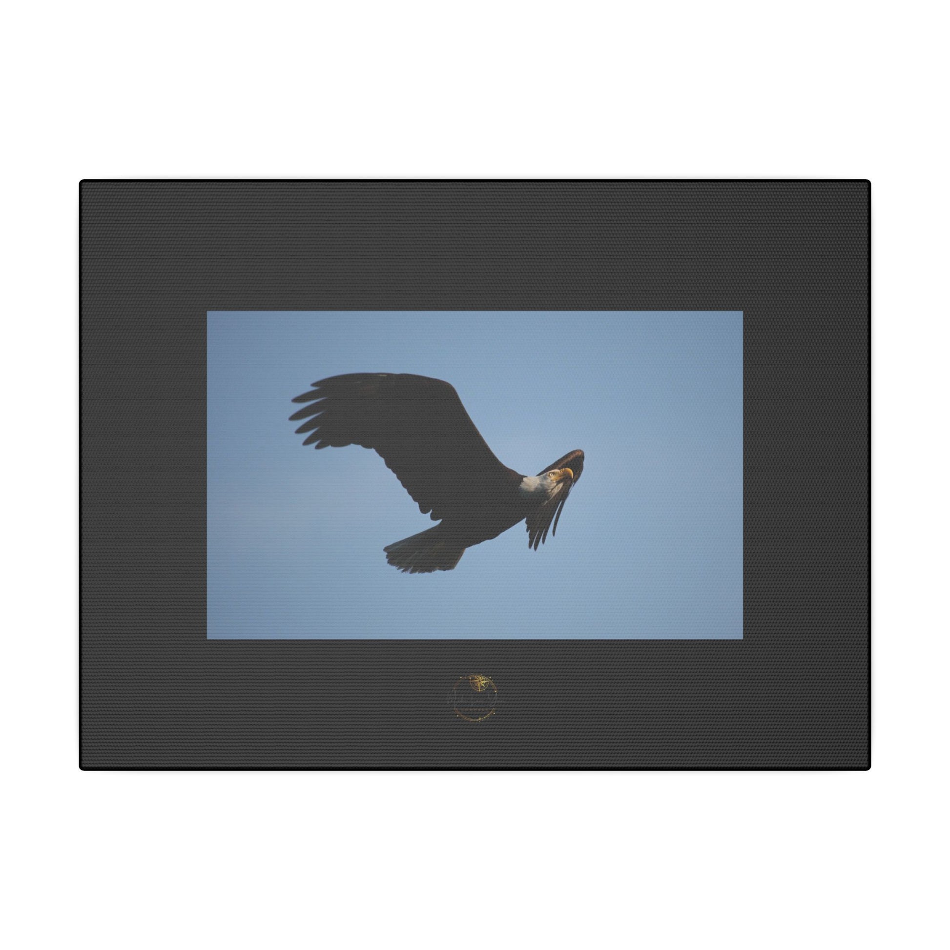 Bald eagle soaring through a clear blue sky — Inspired by Nature Collection | Make Love Your Compass™