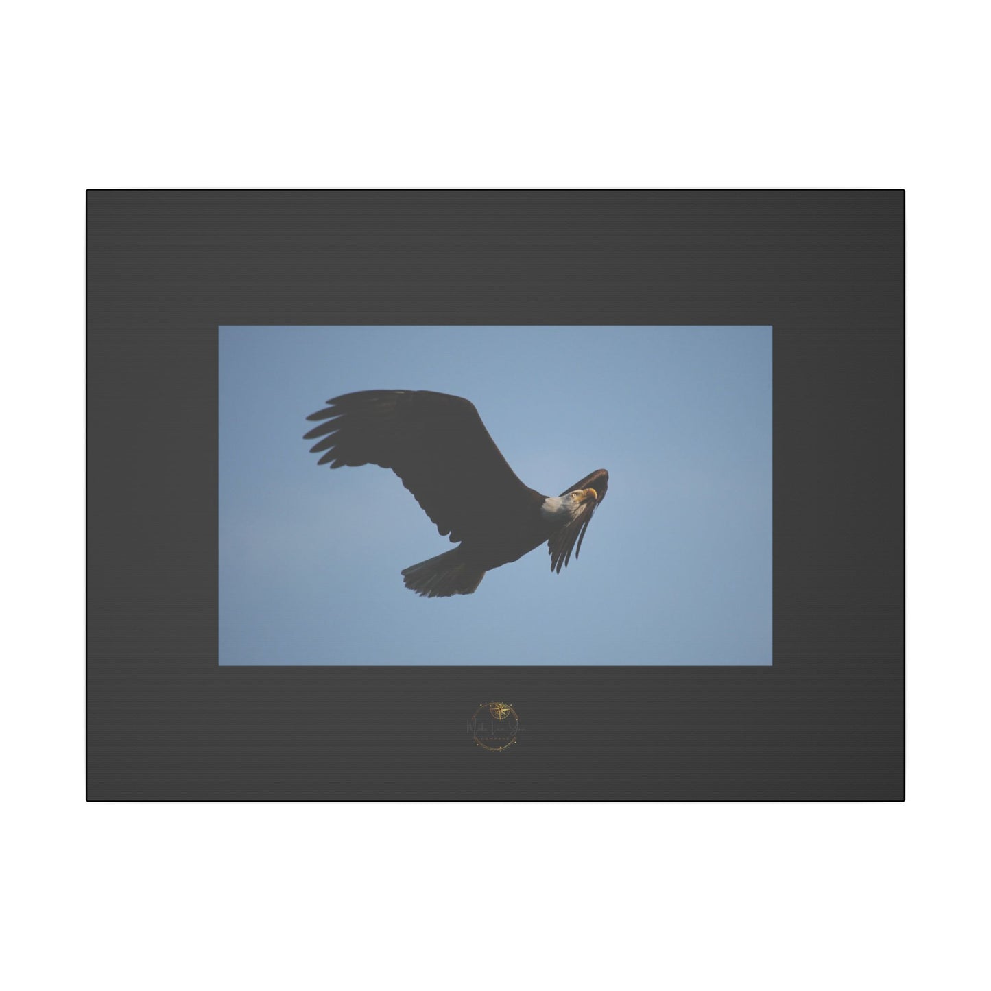 Soaring Strength – Bald Eagle Fine Art Print | Inspired by Nature Collection