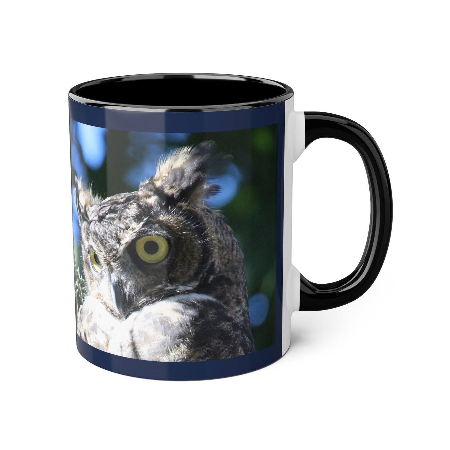 Make Love Your Compass | Mirrored Great Horned Owl & Maple Leaf Mug - 11oz