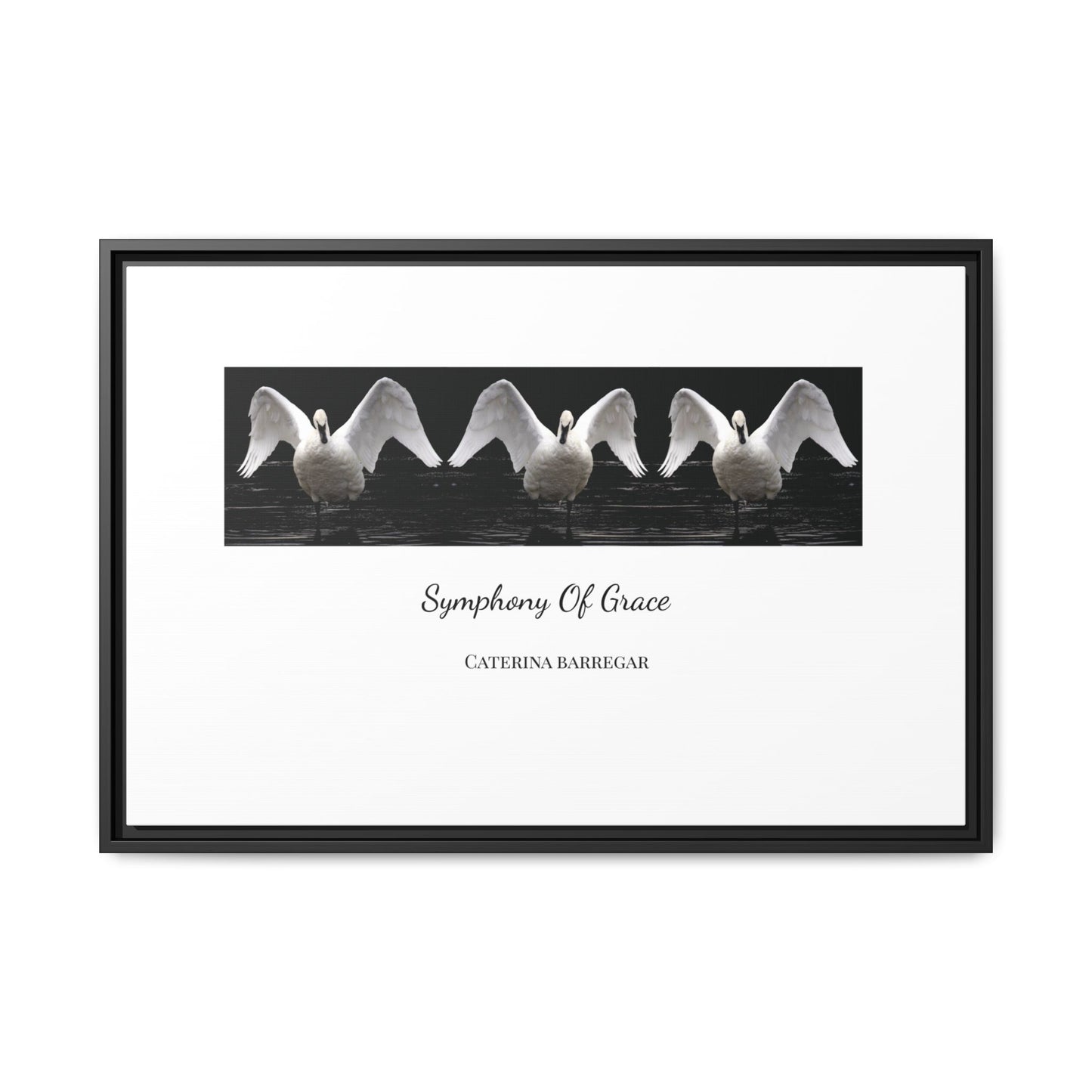 Symphony of Grace – Fine Art Framed Canvas by Caterina Barregar