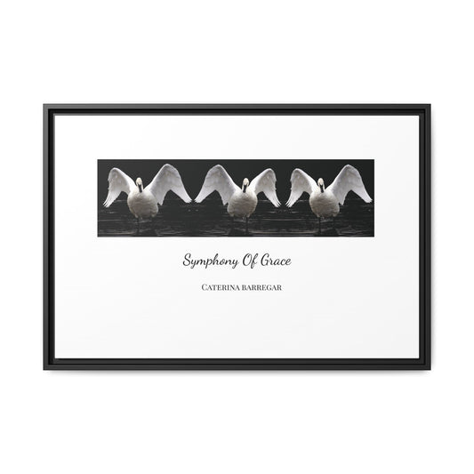 Symphony of Grace – Fine Art Framed Canvas by Caterina Barregar