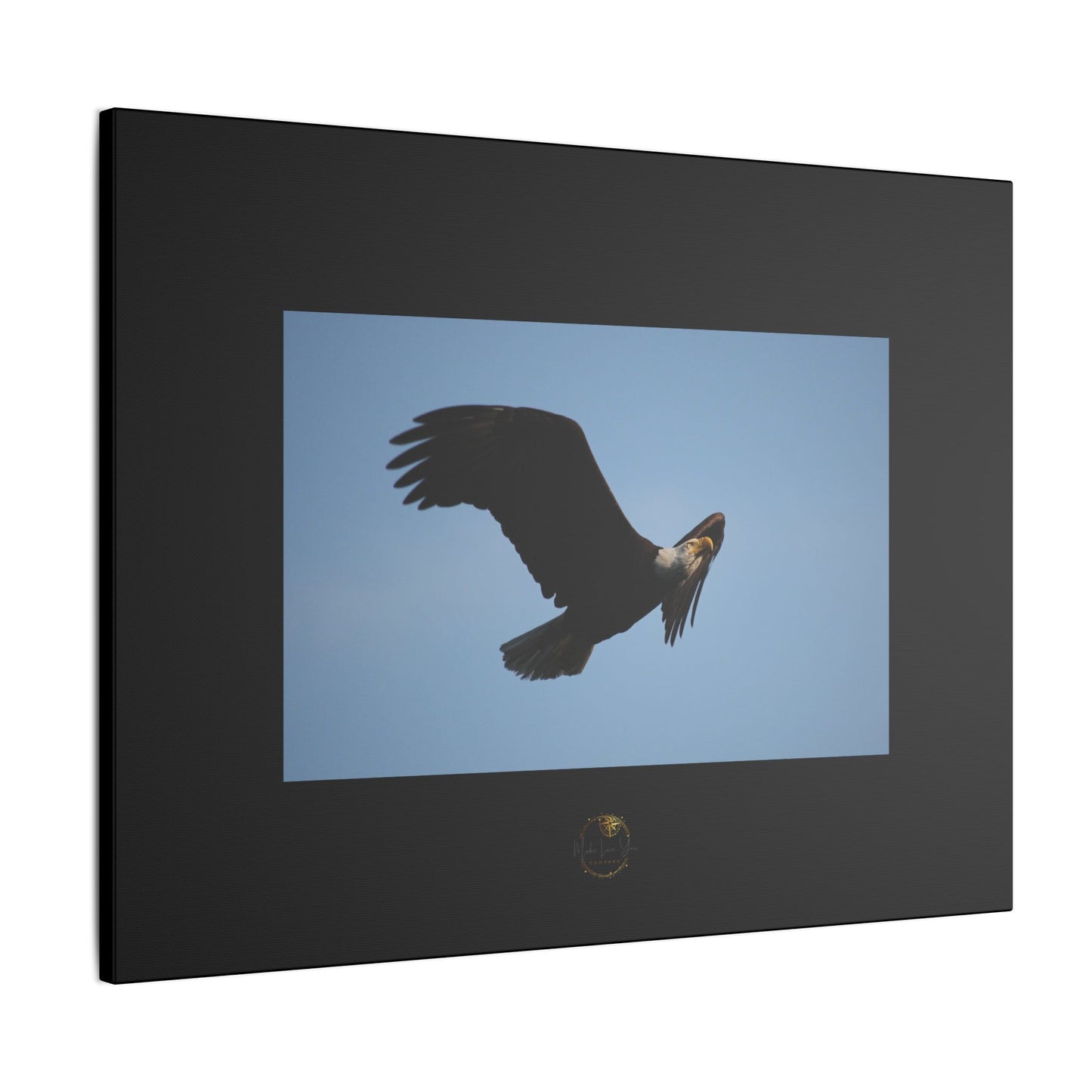 Soaring Strength – Bald Eagle Fine Art Print | Inspired by Nature Collection
